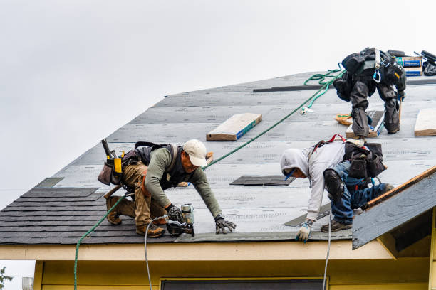 Professional Gutter Installation technician working in Basile, LA